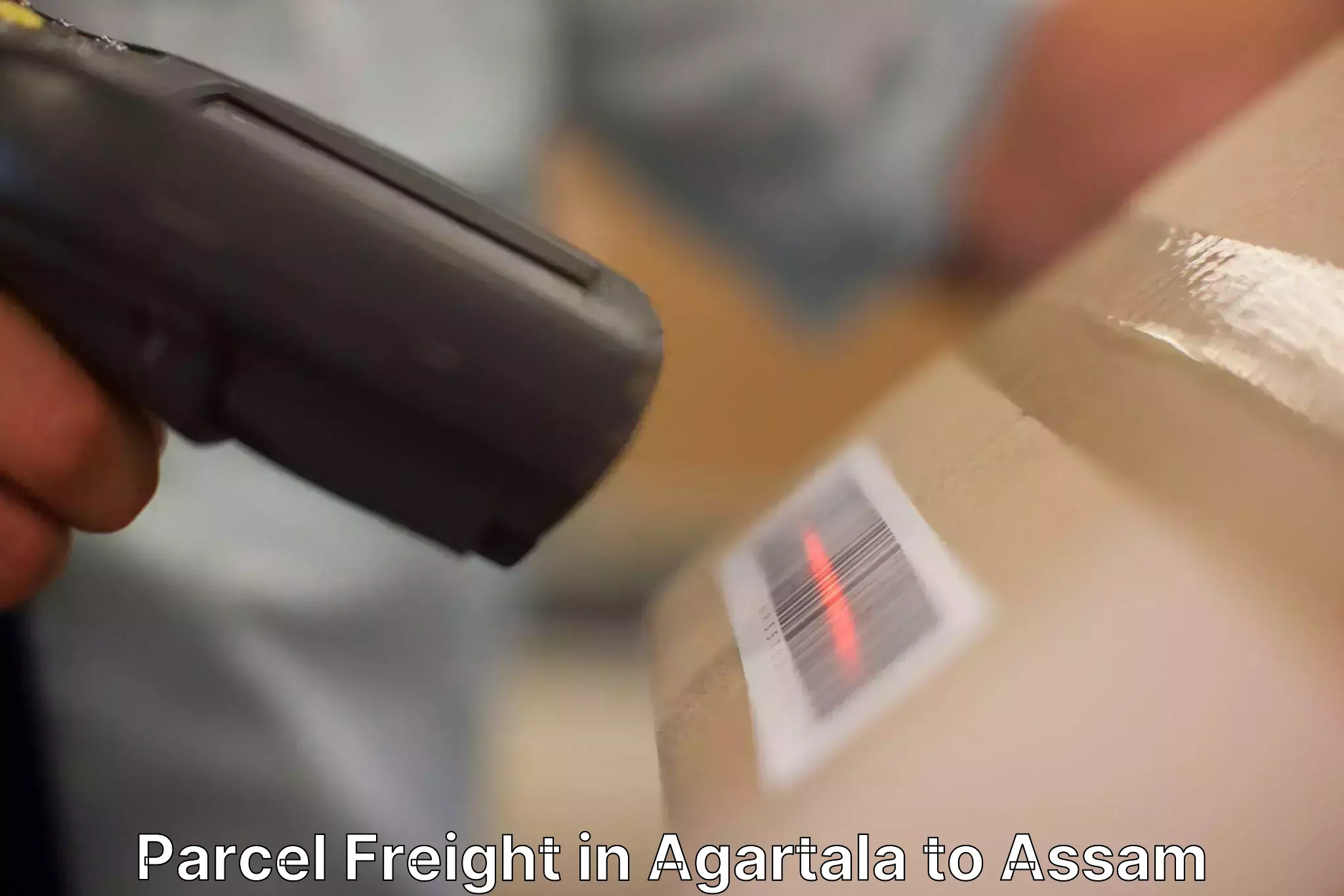 Hassle-Free Agartala to Assam Parcel Freight