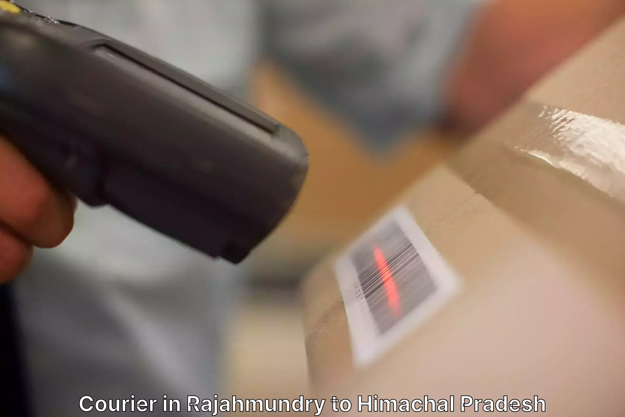 Get Rajahmundry to Nauni Courier